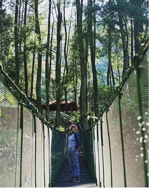 Suaka Elang