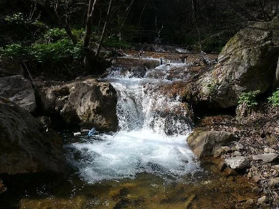 Chongdu Ditch