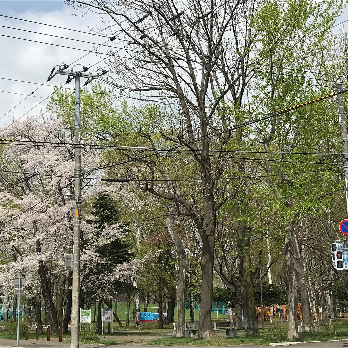 Mikaho Park