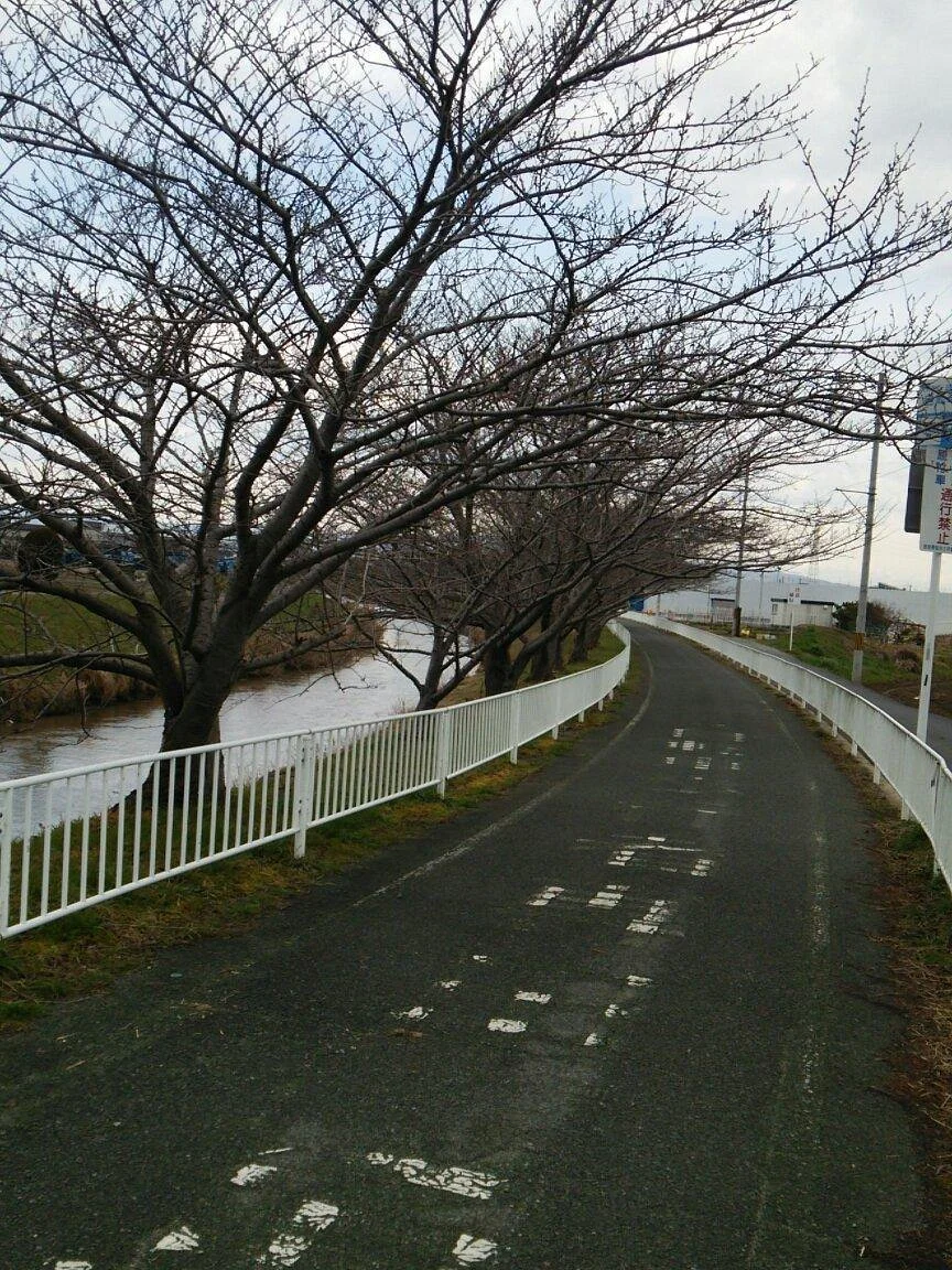 Taishi Road