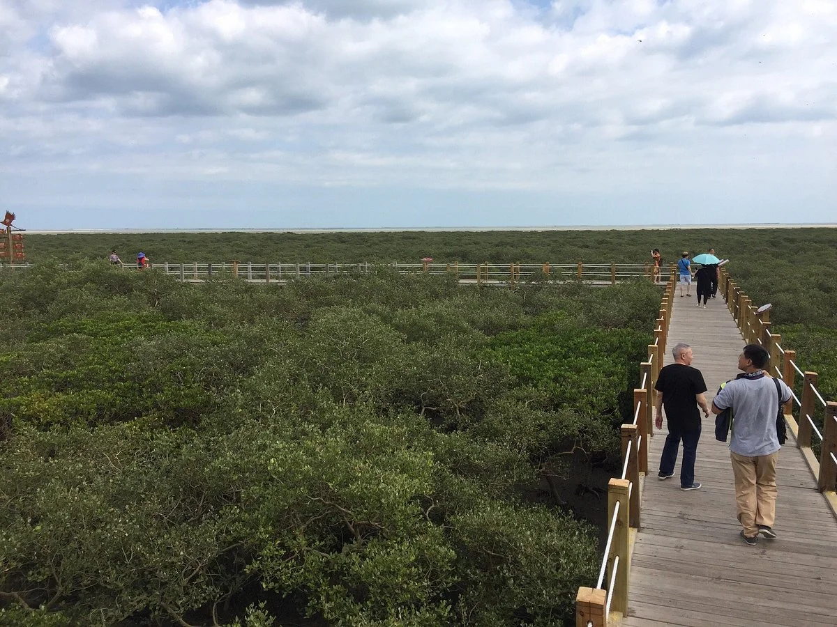 Jinhaiwan Mangrove Scenic Area