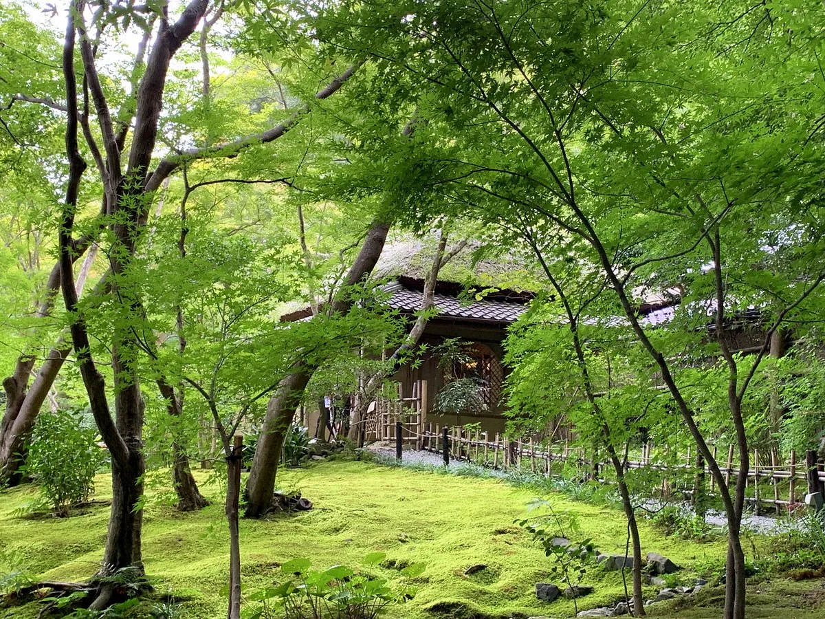 Gio-ji Temple