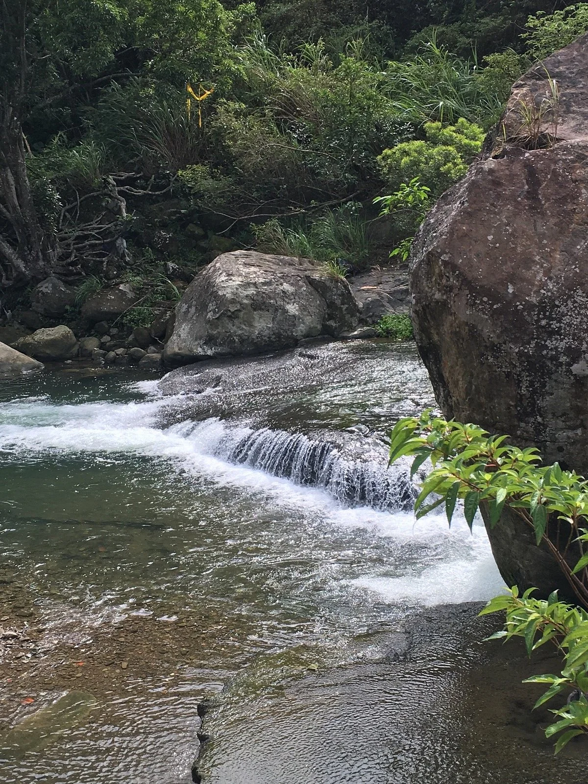 Danlan Trail