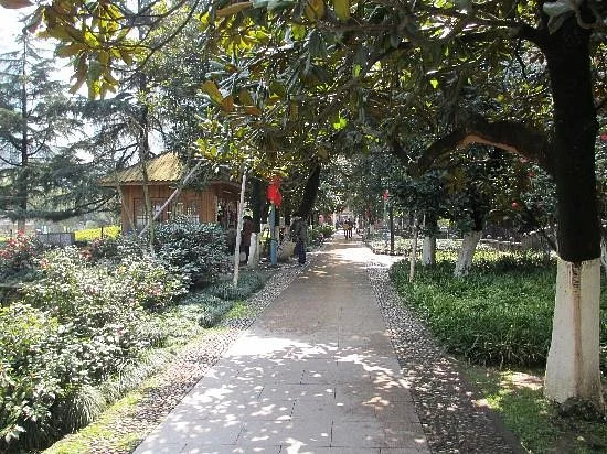 Wenzhou Zhongshan Park
