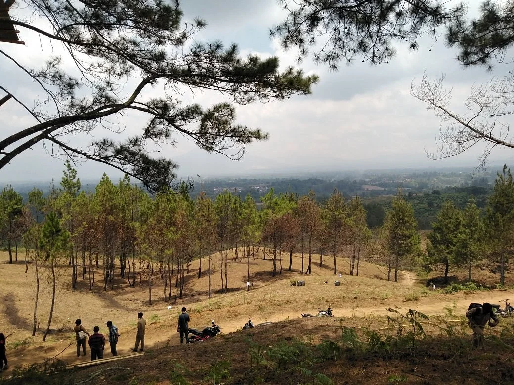 Puncak Pelangkah Gading
