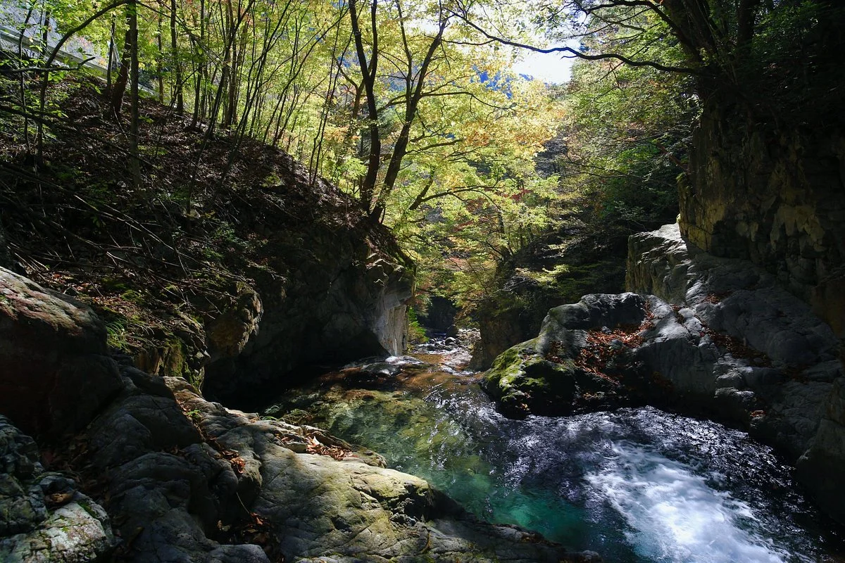 Kusagyu Otaki