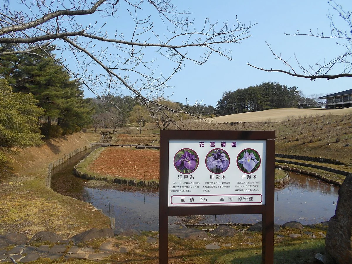 Yanagida Park
