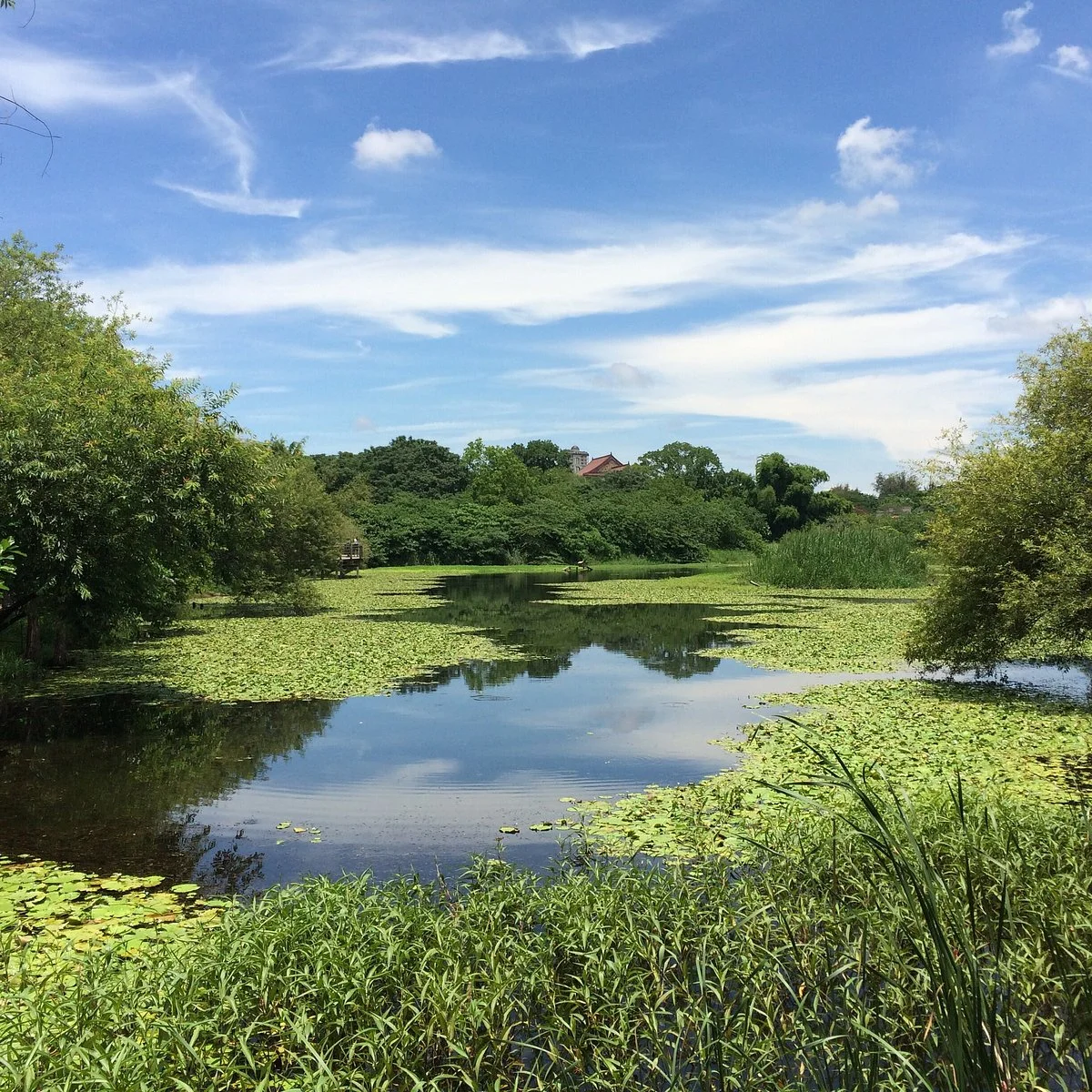 Niaosong Wetland Park