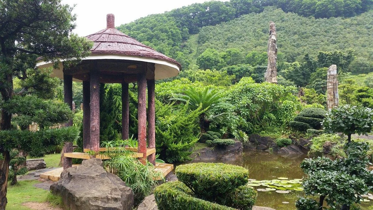 Xianhu Fossil Forest
