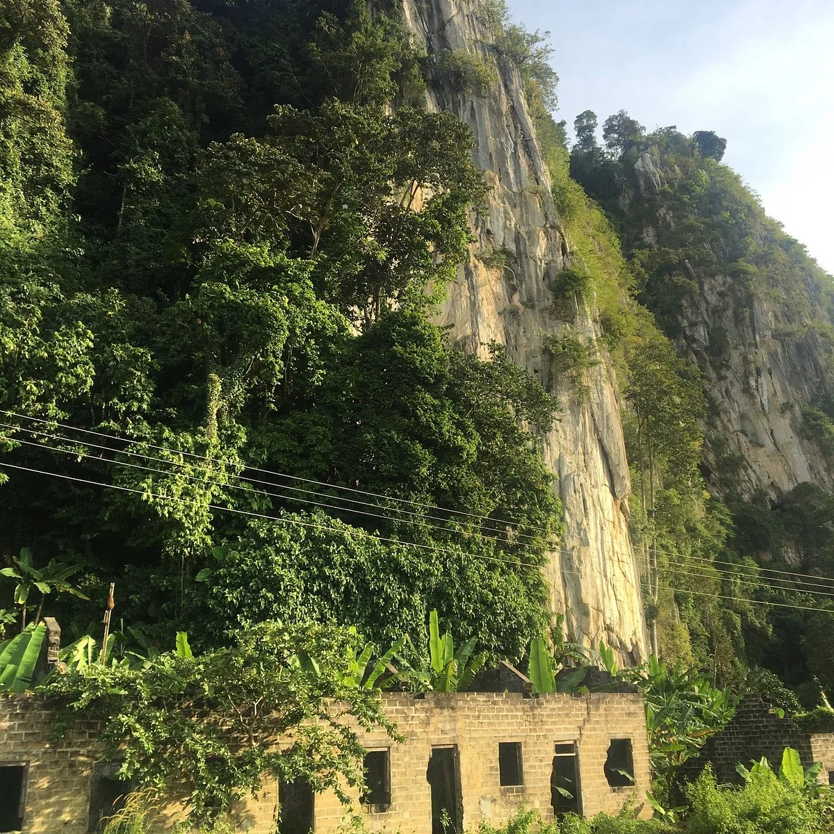 Gua Musang Caves