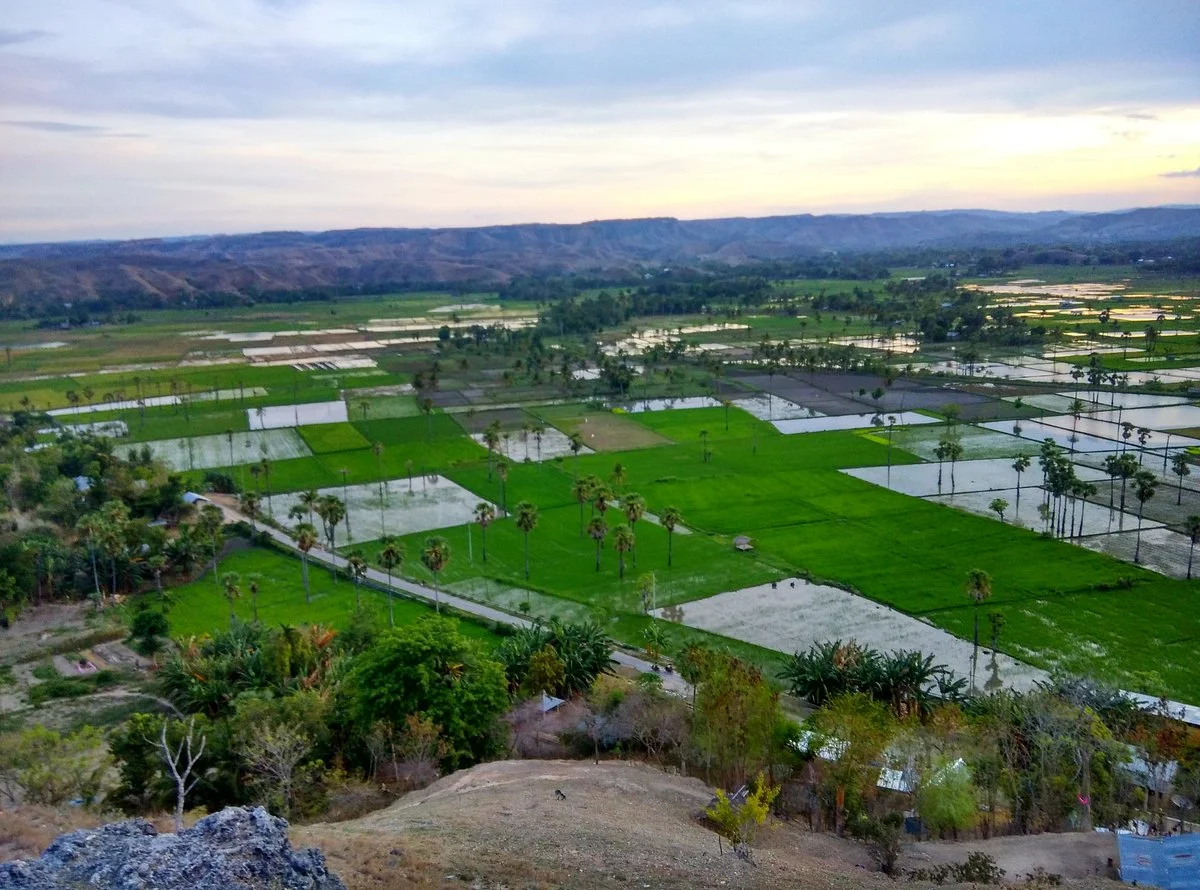 Brotherhood Hills