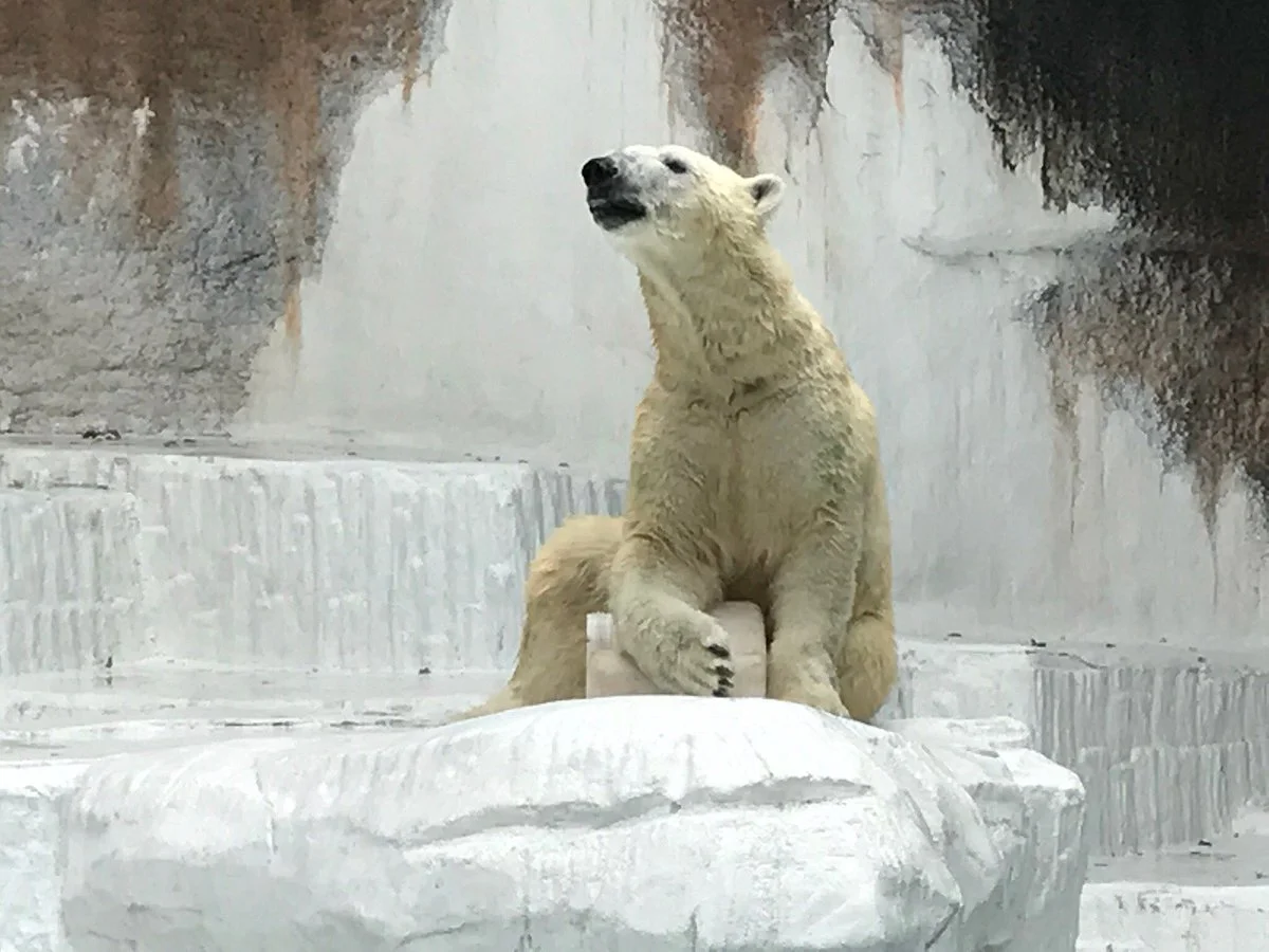 Tennoji Zoo