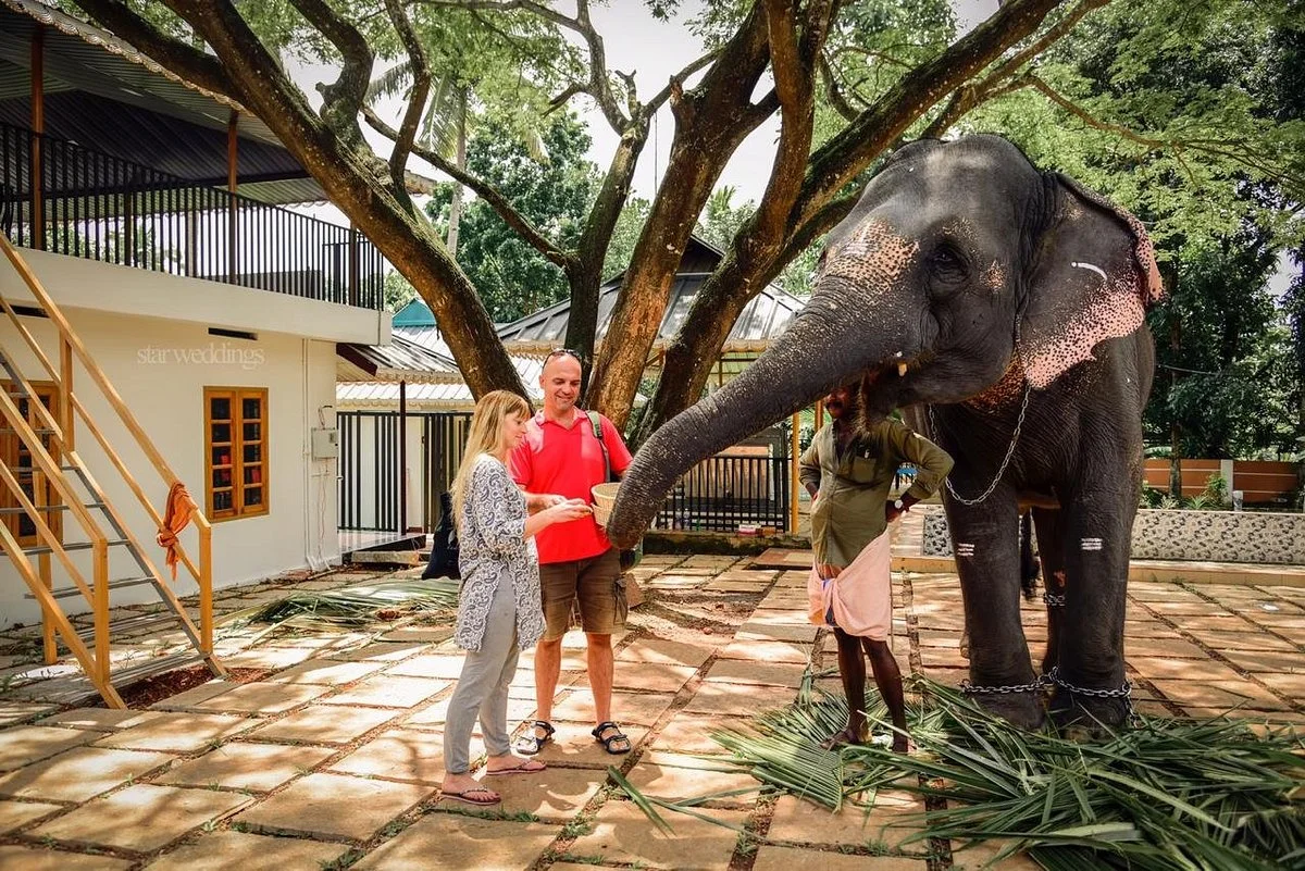 Kaveri Elephant Park
