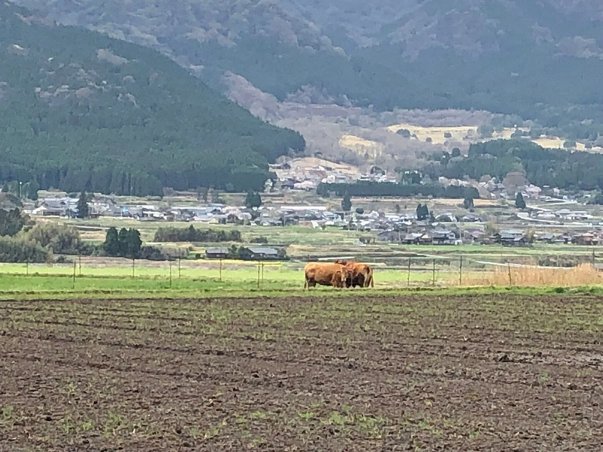 Wakisawazu Water Source