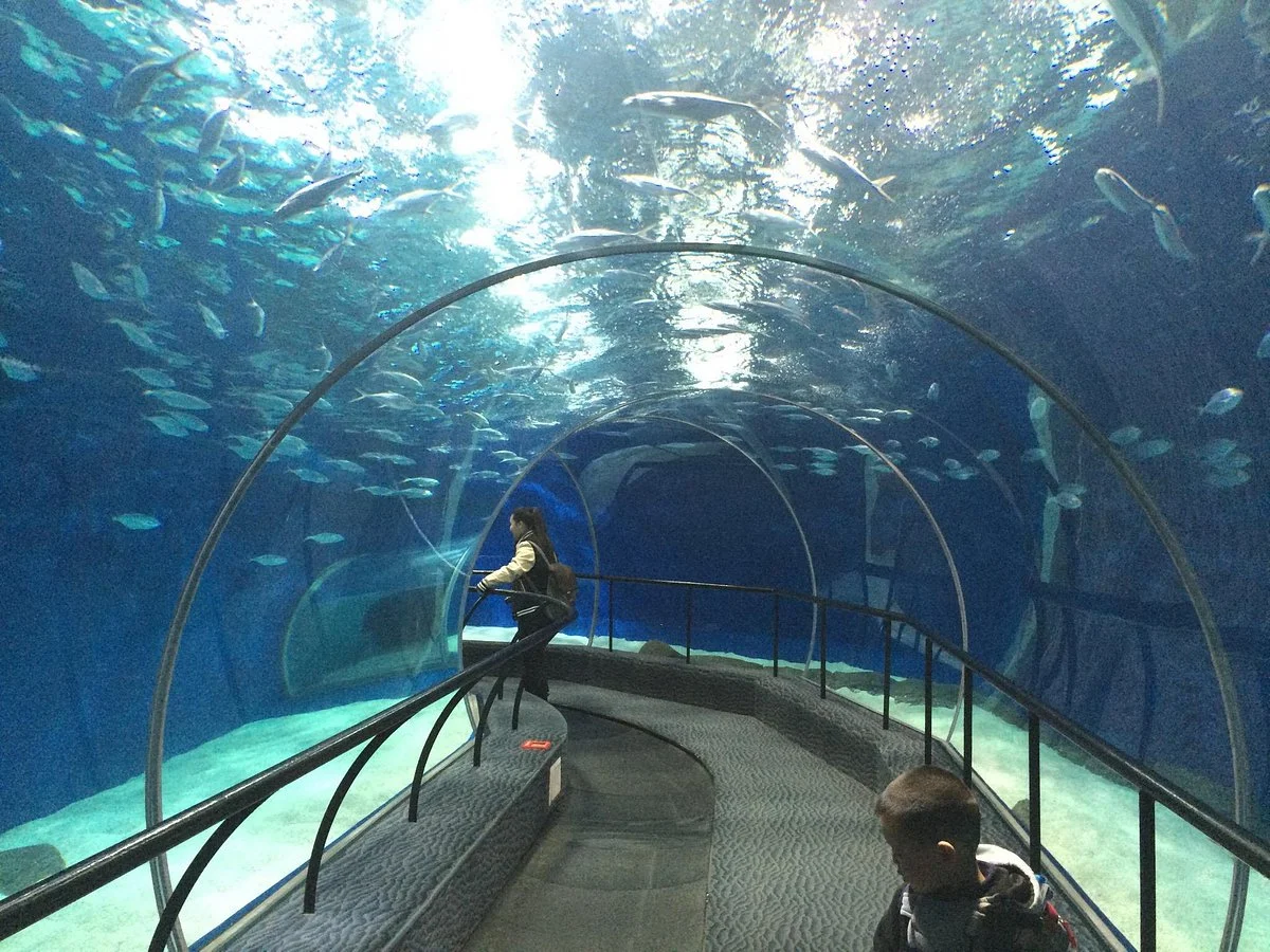 Shanghai Ocean Aquarium