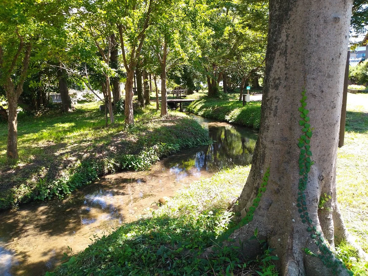 Shimmei Nature Park