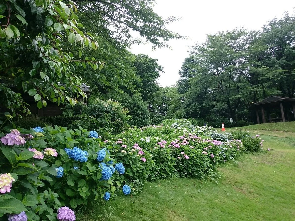 Manyo no Sato Park
