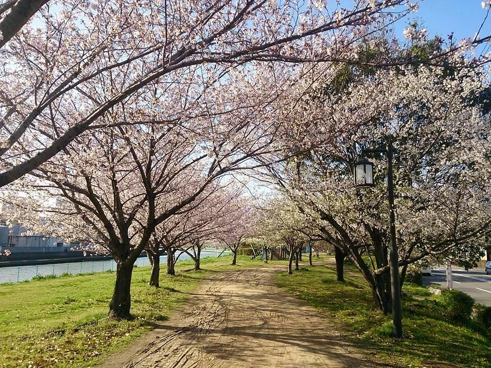 Wakagawa Kasen Park