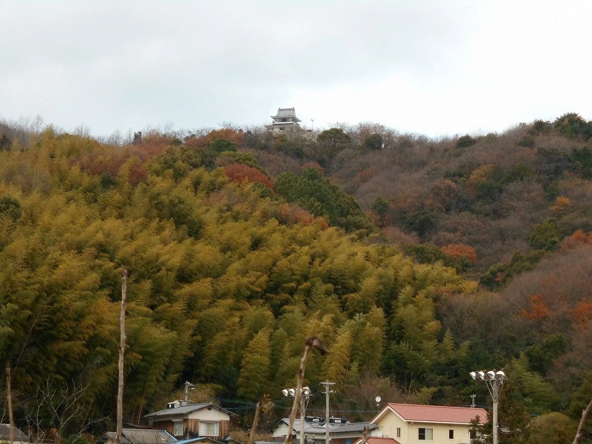 Umiyama Castle Lookout Park