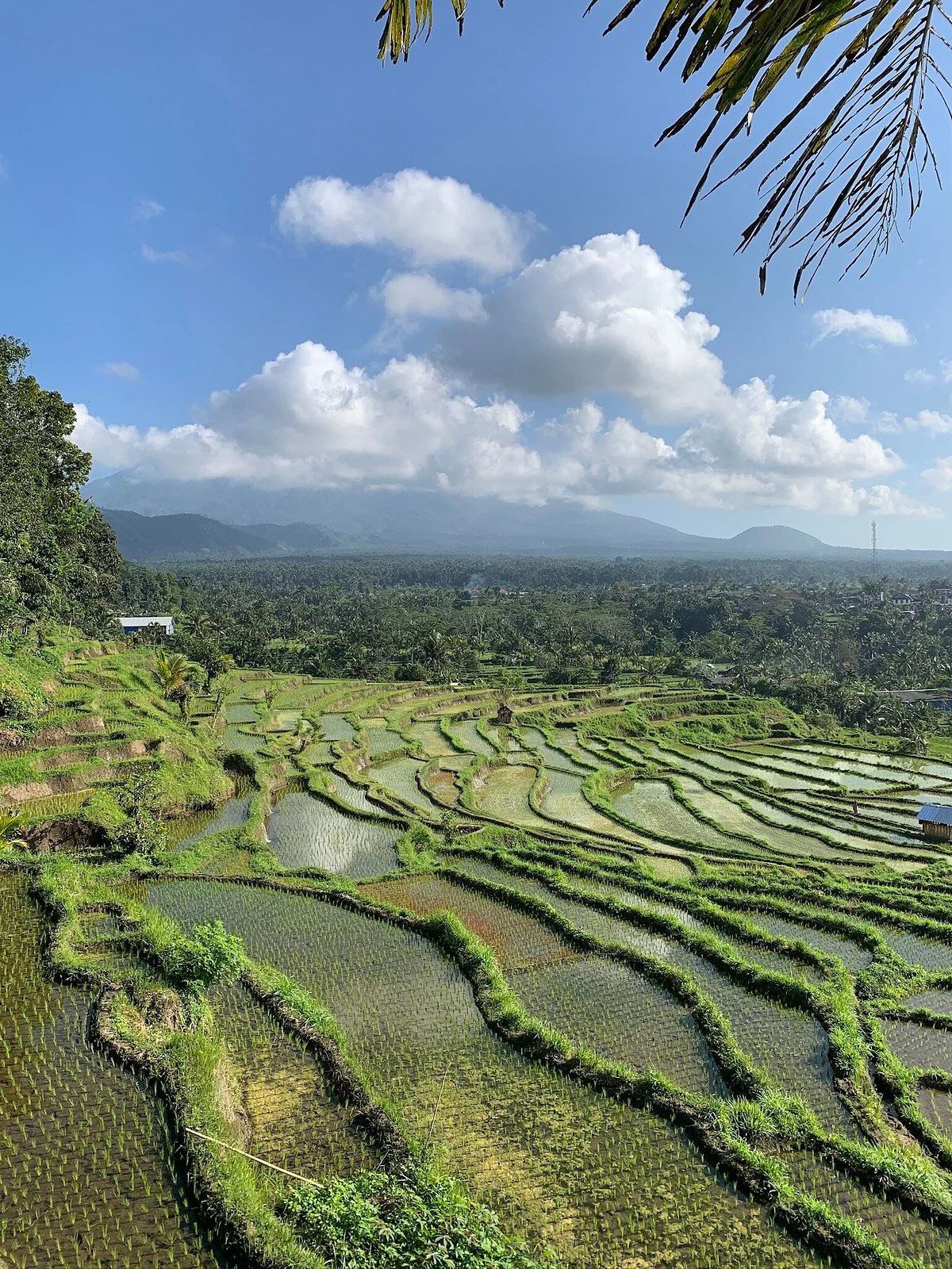 Sibetan Farm