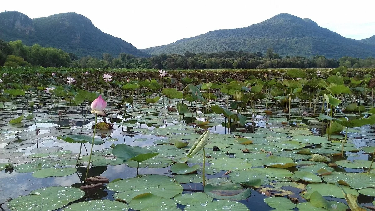 An Hai Lake