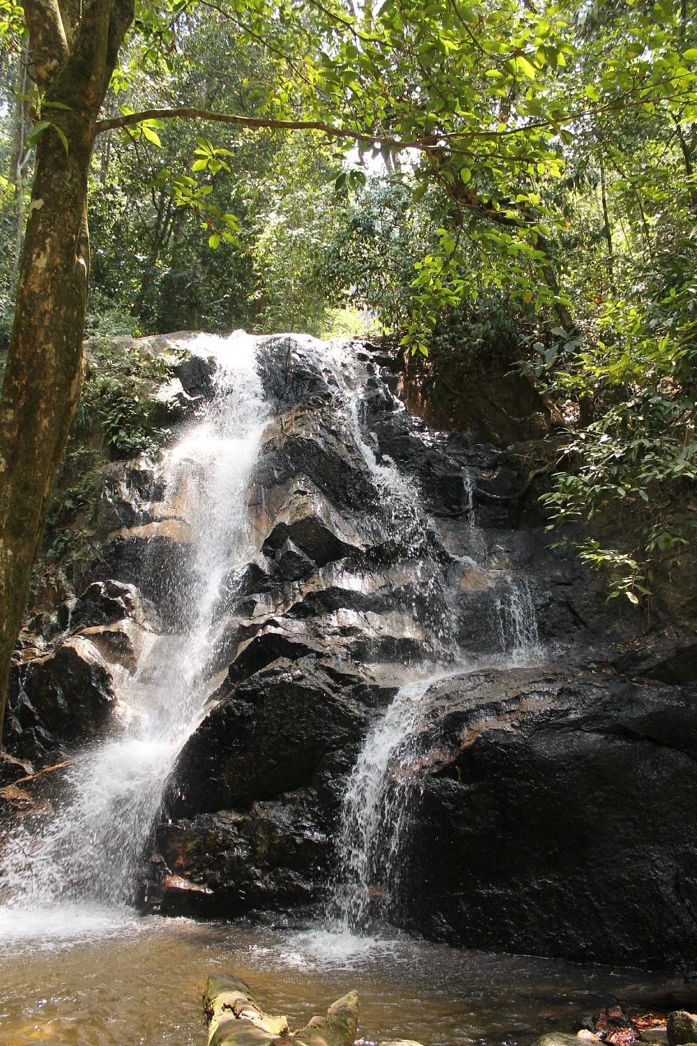Templer Park