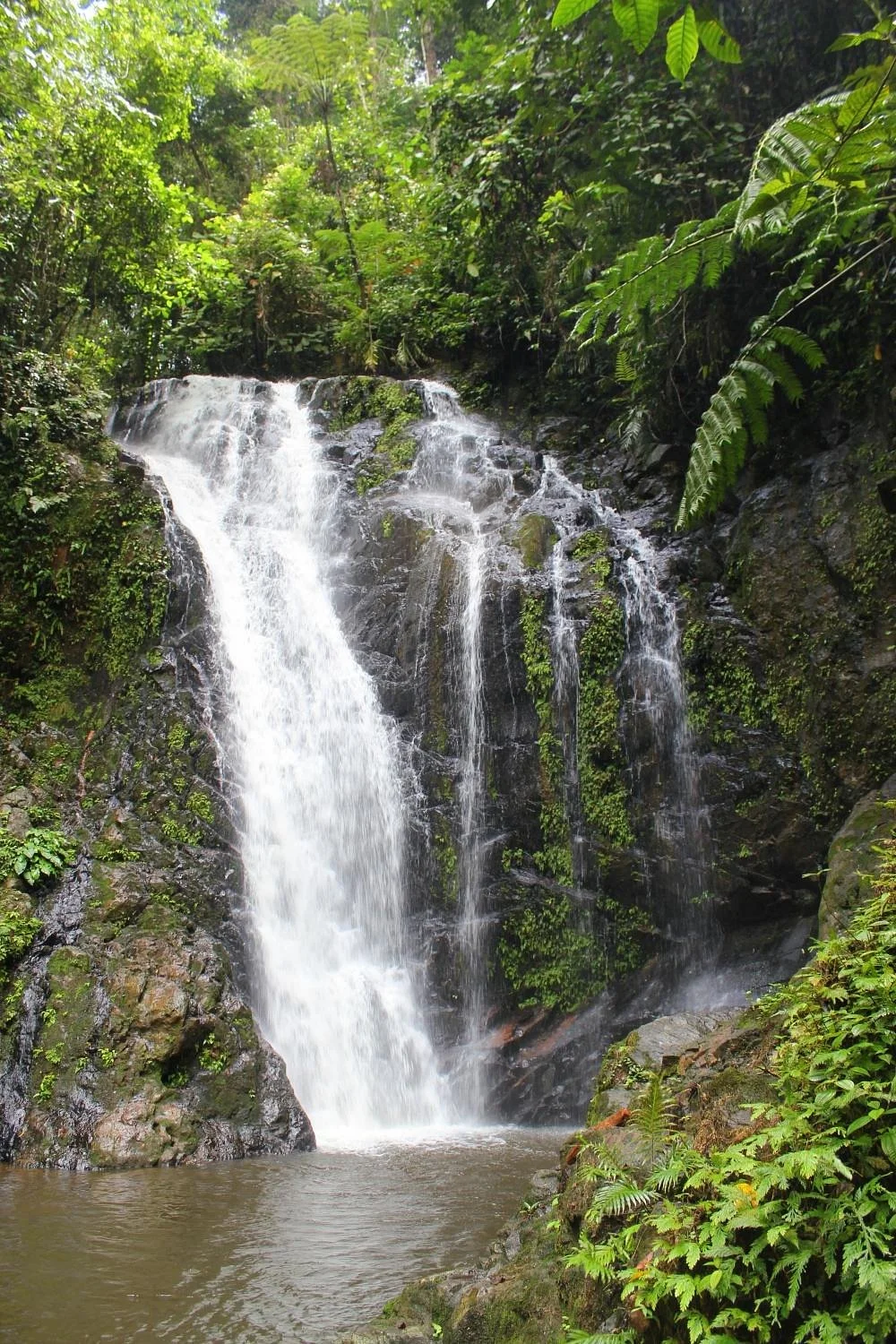 Tawau Hills Park