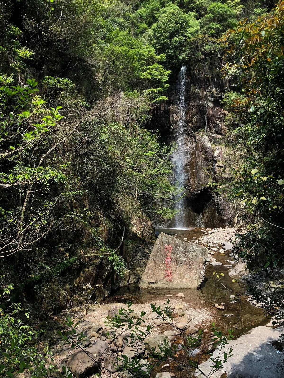 Quzhou Yaowang Mountain