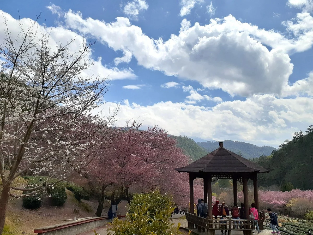 Wuling Farm