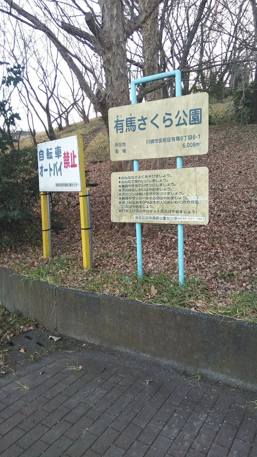 Arima Sakura Park