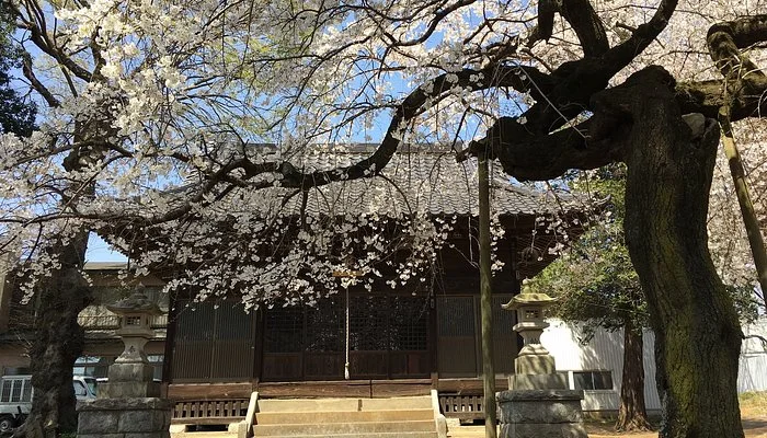 Yasaka Shrine