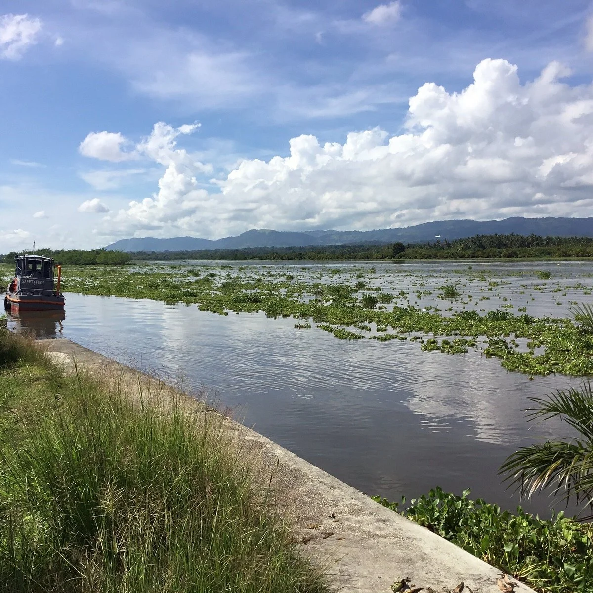 Bai Walk