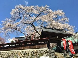Kichijouji Temple