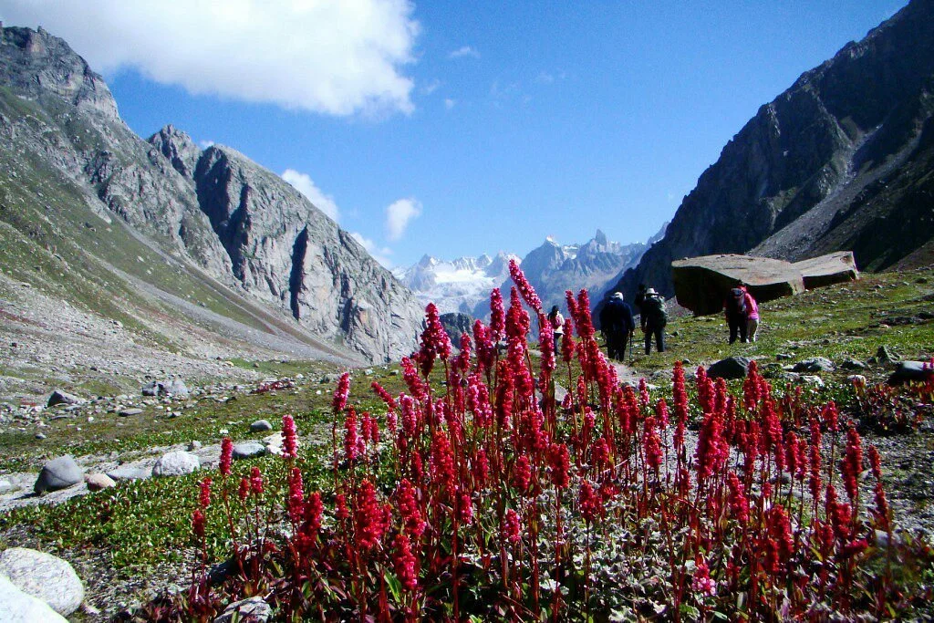 Hamta Pass
