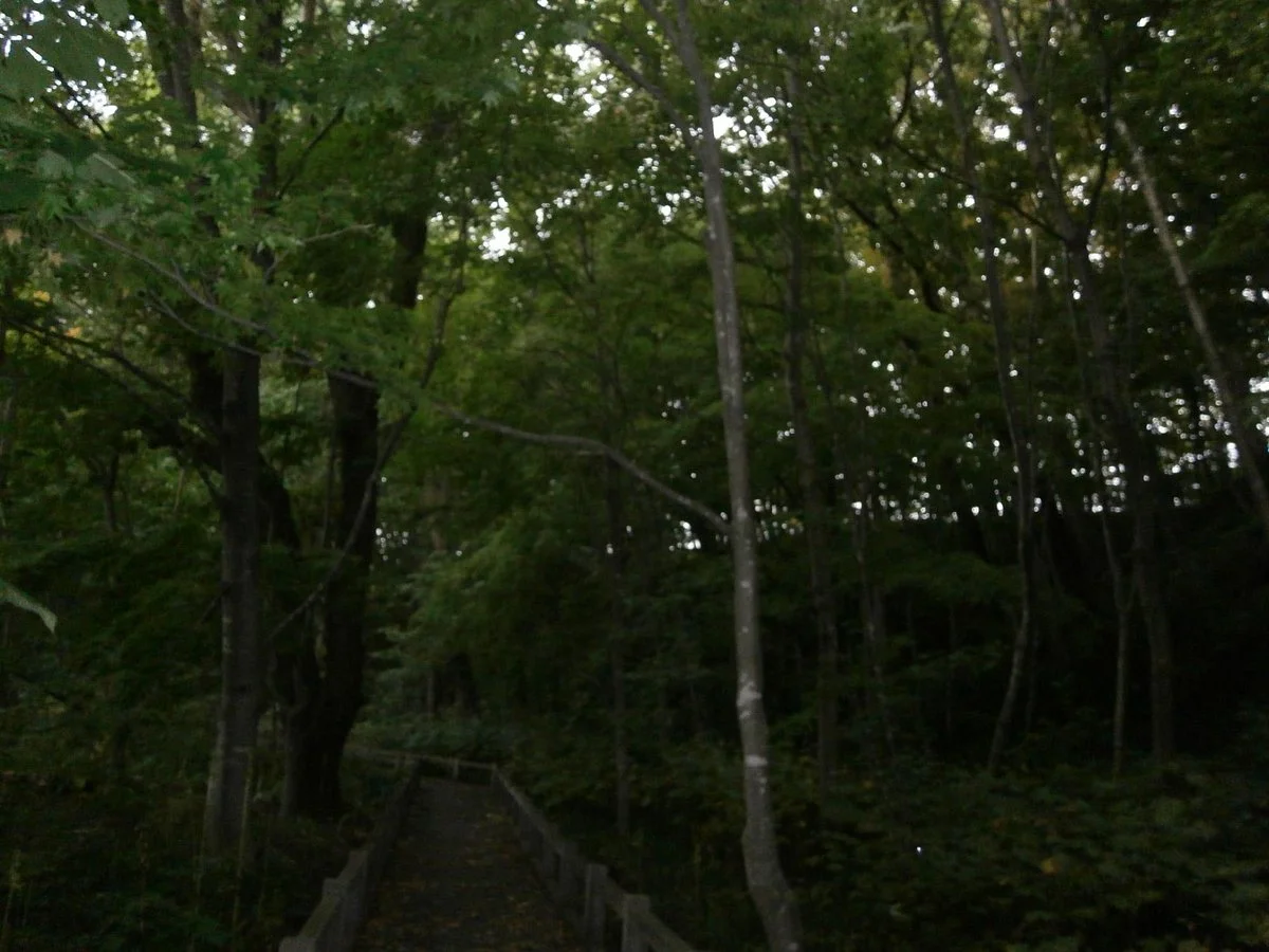 Kiyota Ryokuchi Park