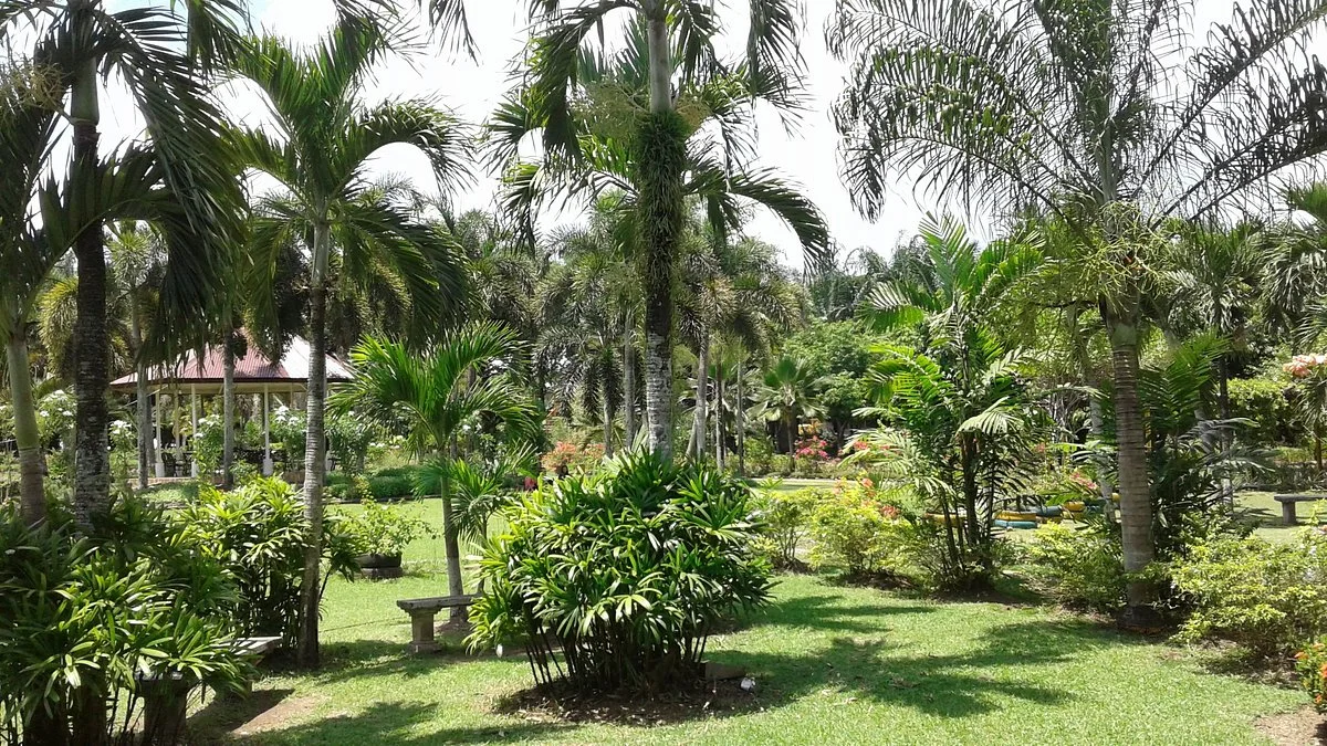 Sagay City Garden and Living Tree Museum
