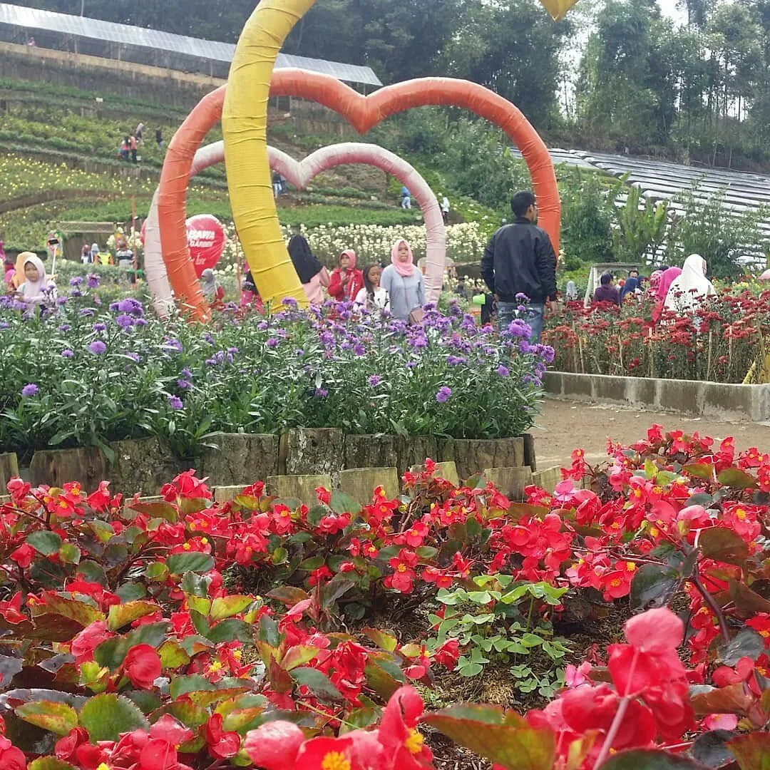 Kutabawa Flower Garden