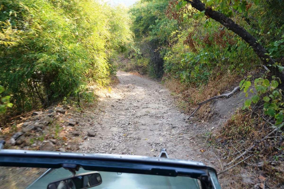 Bandhavgarh Ancient Caves