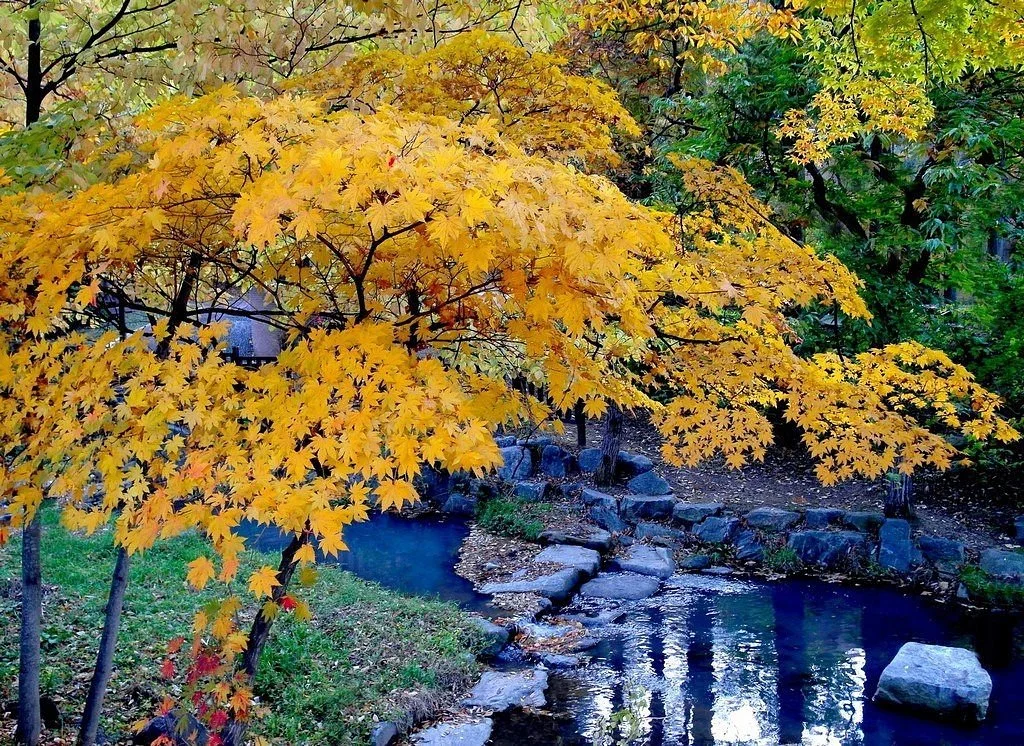 Seoul Grand Park