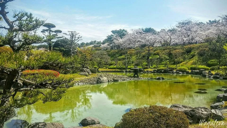 Kagoshima Prefectural Yoshino Park