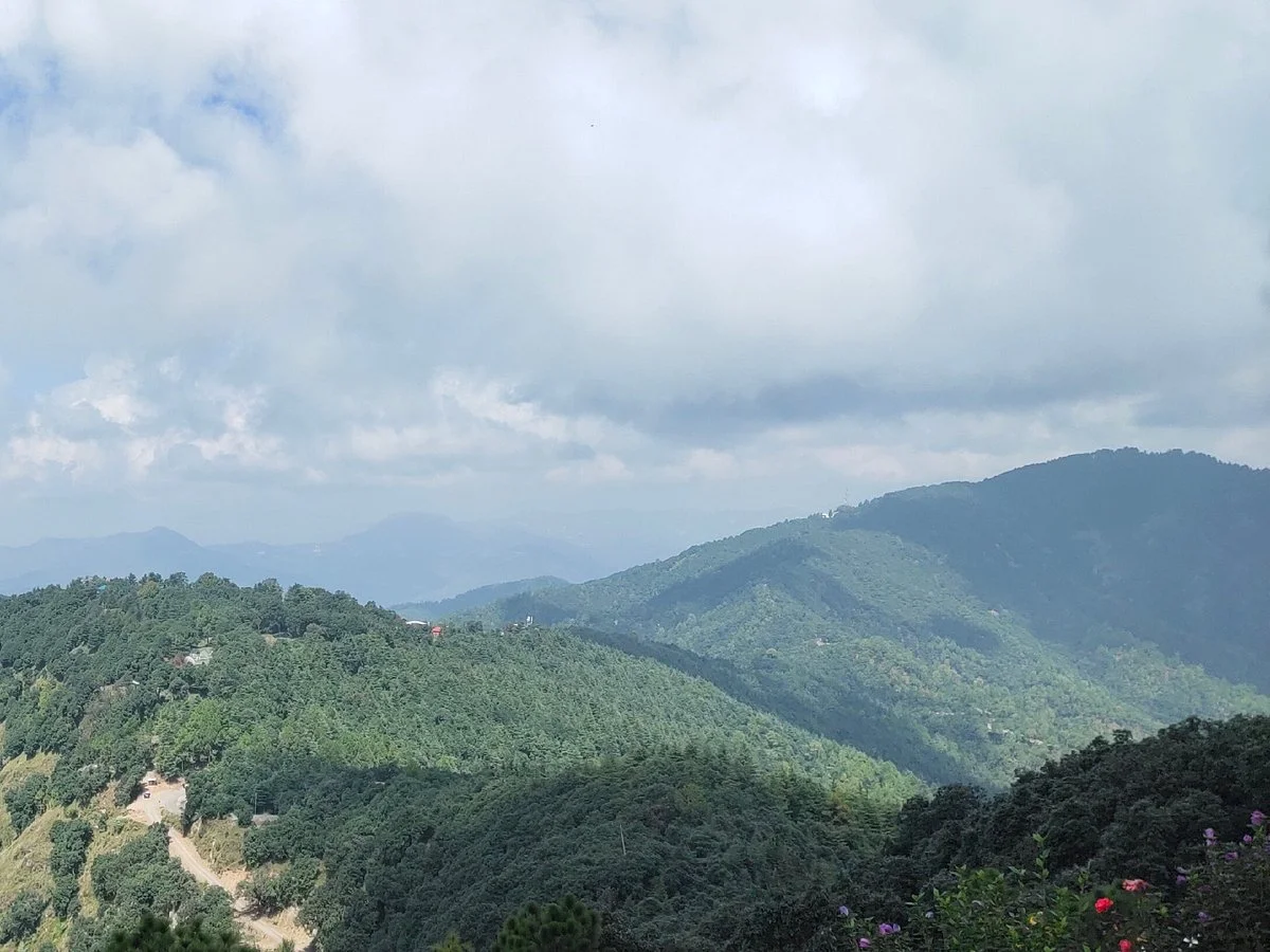 Chail Wildlife Sanctuary