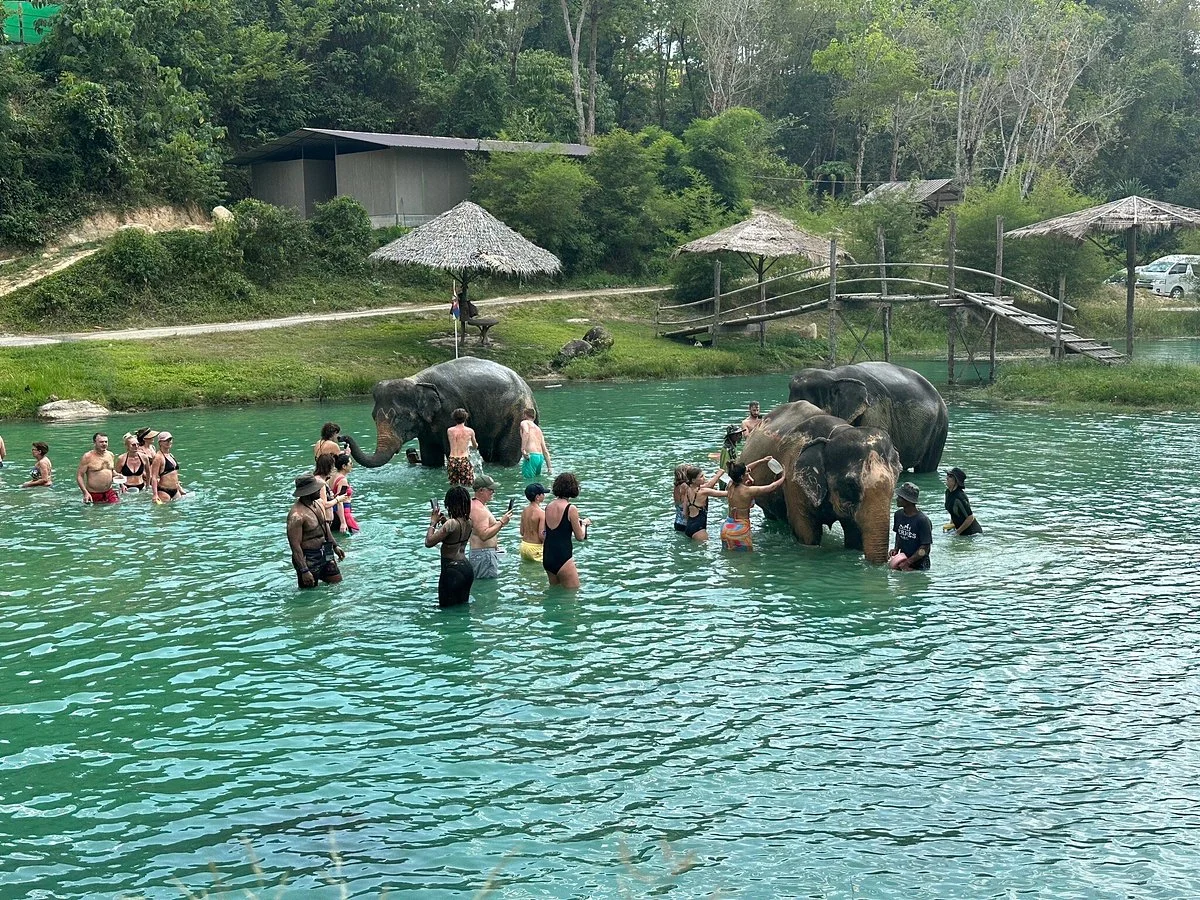 Phuket Elephant Care