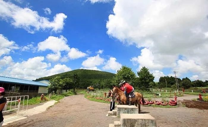 Jeju Horse Park