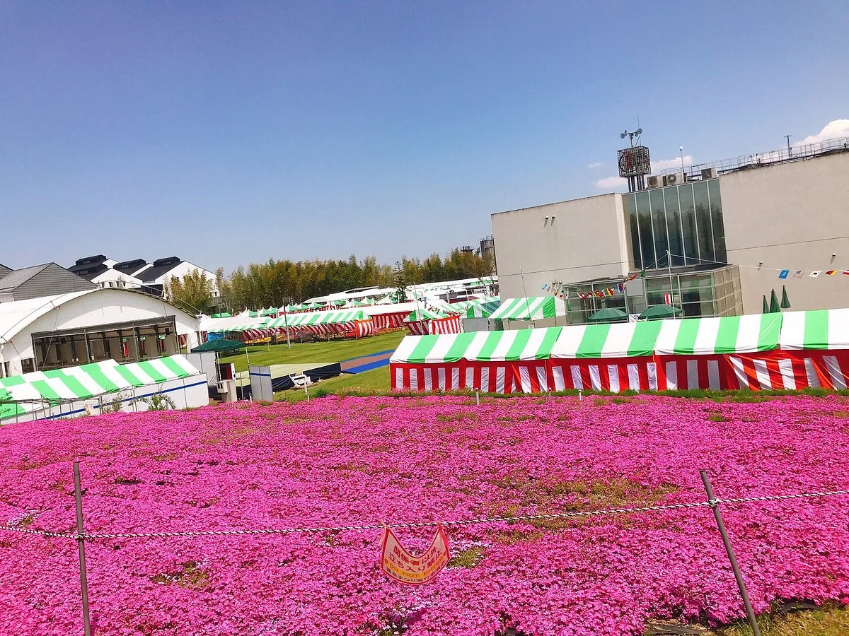 Kirishima Wolk Factory