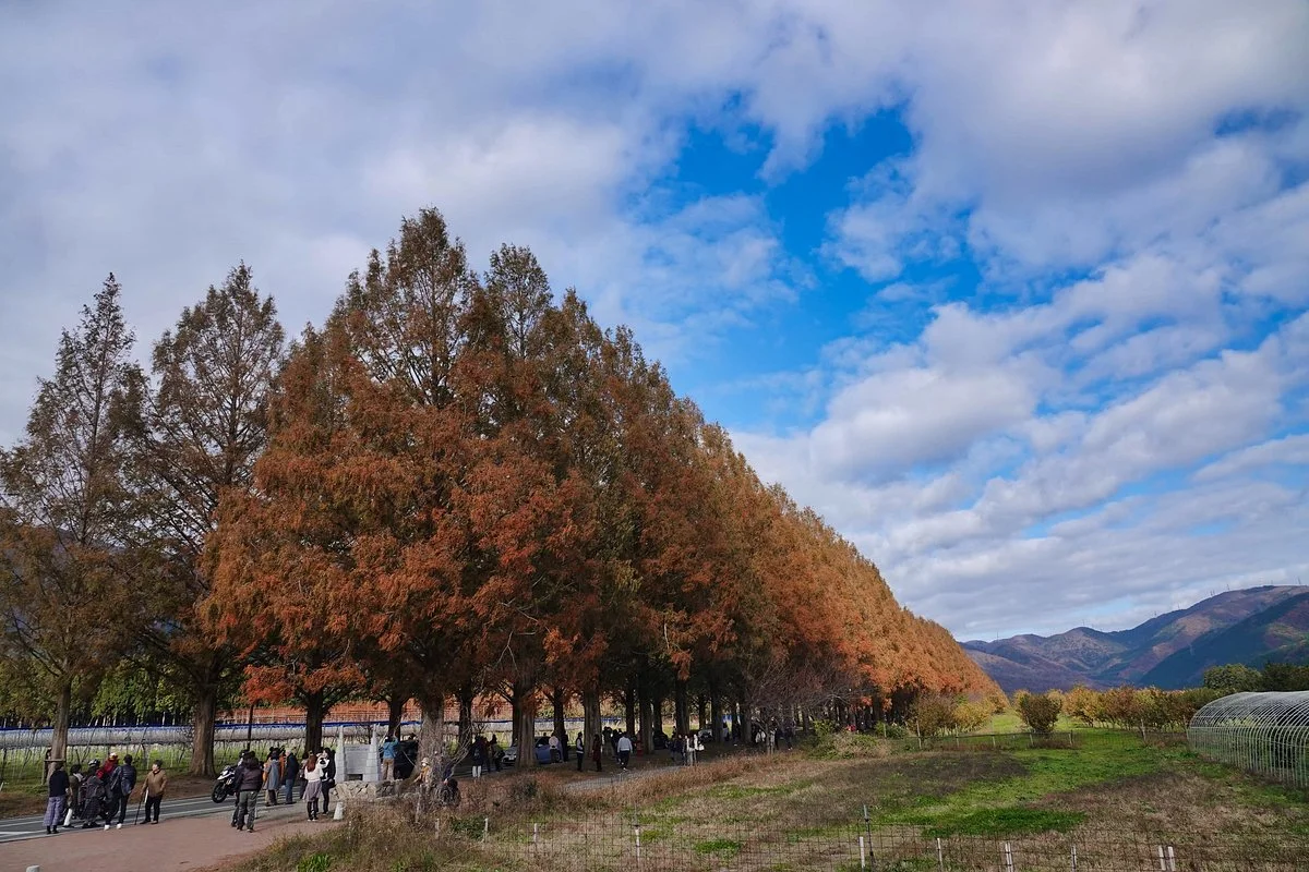 Makino Highland