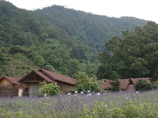 Panlong Gorge Ecological Resort