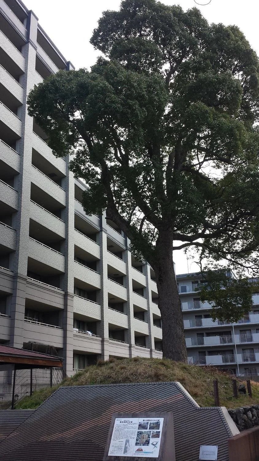 Kaidenjo Dorui Park