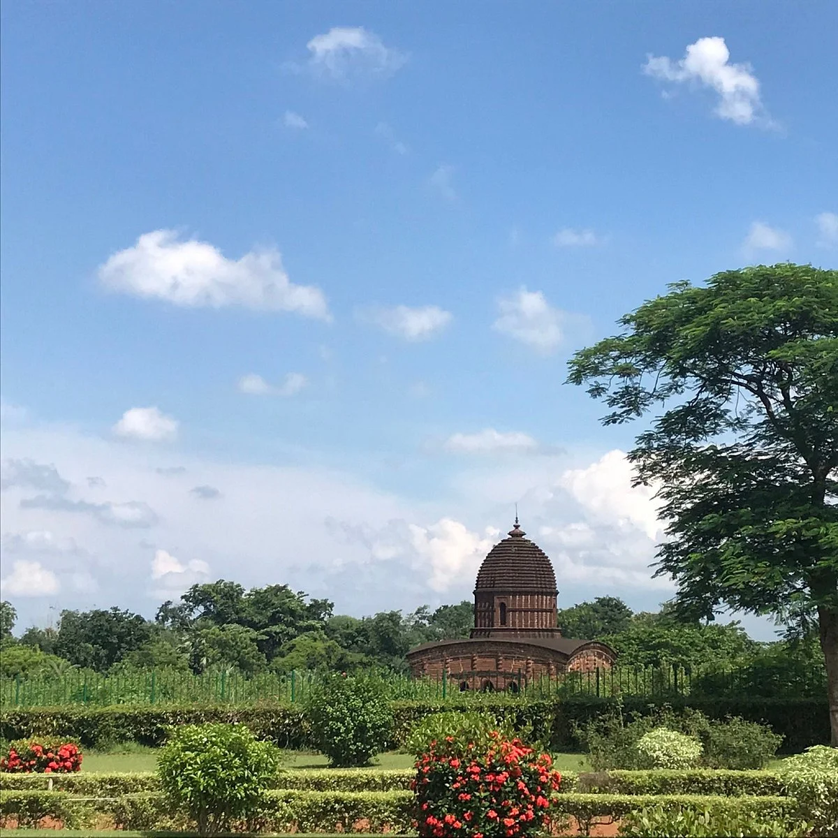 Joypur Jungle