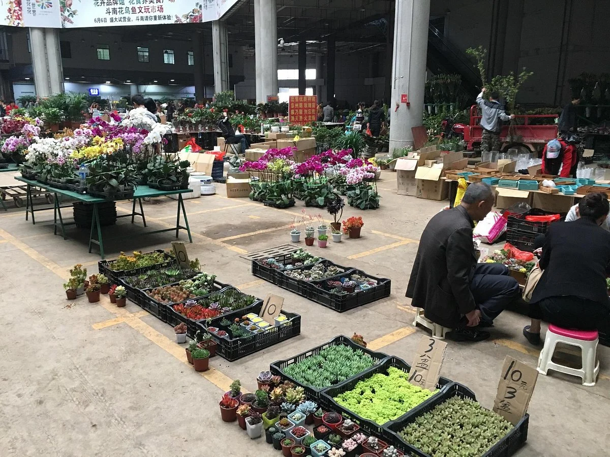 Nandou Flowers Market