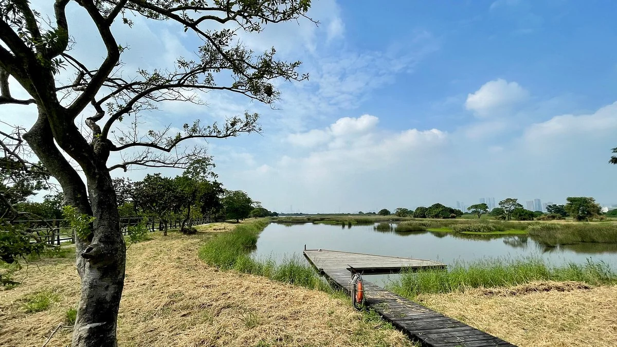 Mai Po Nature Reserve